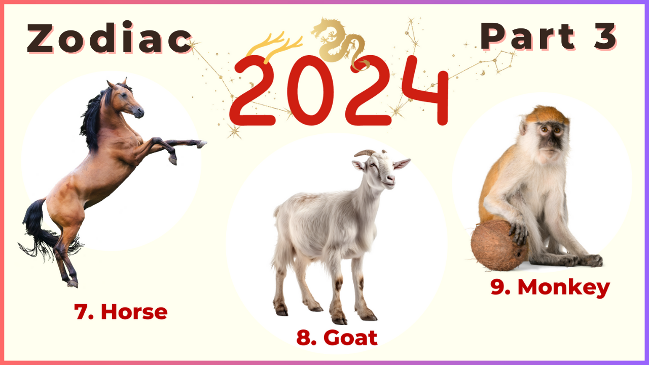 2024 Chinese zodiac forecast part 3: Horse, Goat, Monkey — Picture